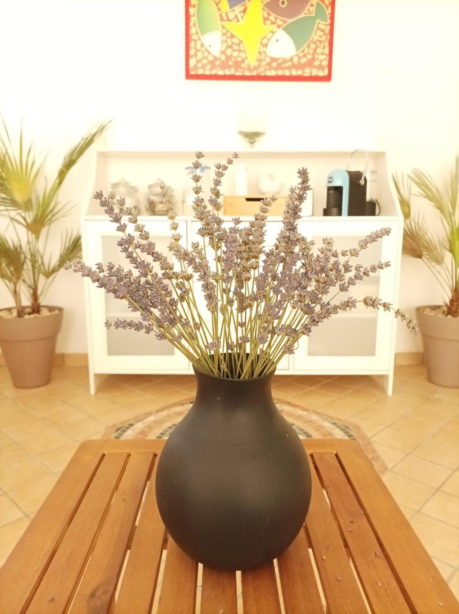 Villa Istonia Cupello Ngoại thất bức ảnh